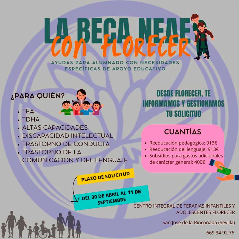 becas y ayudas para alumnado con necesidades específicas de apoyo educativo